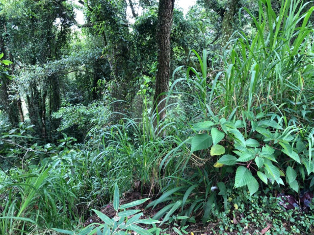Terreno à venda no condomínio Gleba E2, Mairiporã - SP