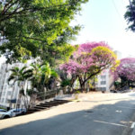 Apartamento à venda com 2 quartos em Jardim Santa Mônica, São Paulo, SP