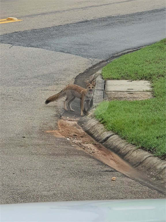Terreno à venda no condomínio Fazenda Jequitibá, Sorocaba - SP