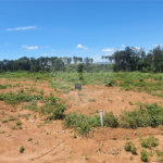 Terreno à venda no condomínio Estäncia Parque de Atibaia, Atibaia - SP