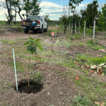 Terreno à venda em Nossa Senhora da Guia, Cuiabá, MT