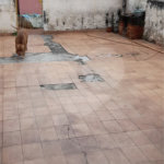 Sobrado à venda com 3 quartos em Parque Edu Chaves, São Paulo, SP