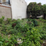 Terreno à venda com 1 suíte em Vila Constança, São Paulo, SP