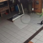 Casa à venda com 4 quartos, sendo 1 suíte, em Parque Vitória, São Paulo, SP