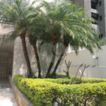 Apartamento à venda com 2 quartos em Itaim Bibi, São Paulo, SP
