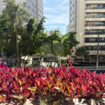 Apartamento à venda com 3 suítes em Santana, São Paulo, SP