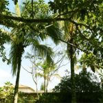 Casa Residencial à venda, Balneário Marambaia, Itanhaém - CA0135.