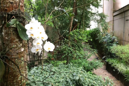 Apartamento à venda com 3 quartos, sendo 1 suíte, em Jardim Ampliação, São Paulo, SP