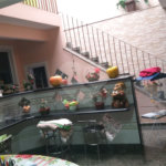 Sobrado à venda com 6 quartos, sendo 1 suíte,  no Brasilândia, São Paulo, SP