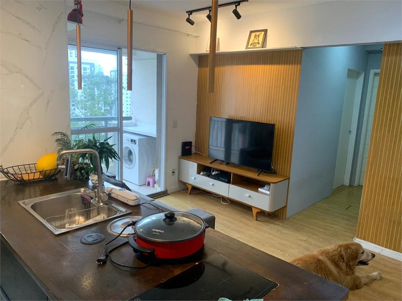 Apartamento à venda com 2 quartos em Parque Reboucas, São Paulo, SP