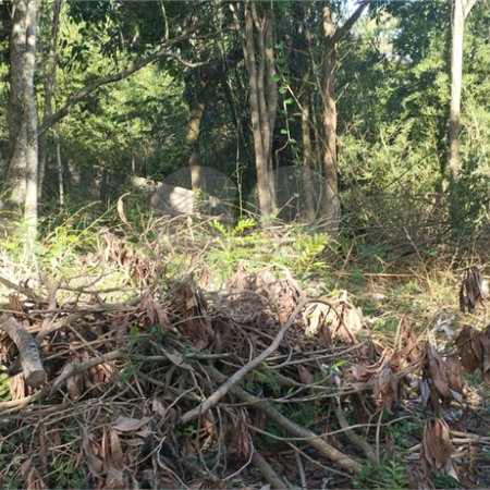 Terreno à venda em Vila Rosa, Itapetininga, SP