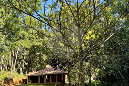 Sítio à venda com 4 quartos, sendo 1 suíte,  em Moinho, Nazaré Paulista, SP