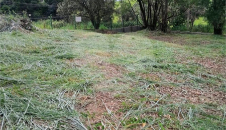Terreno à venda em Vale Verde, Valinhos, SP