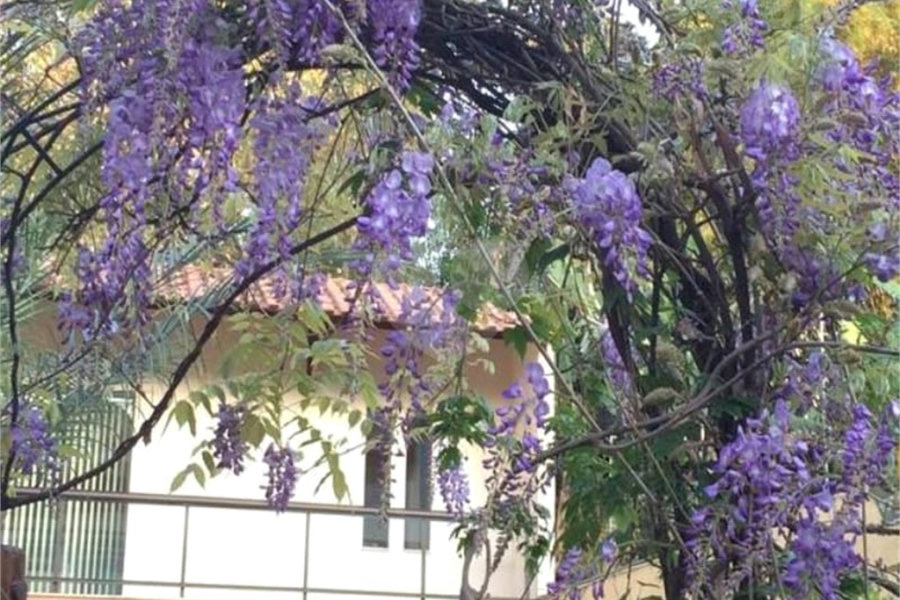 Sobrado à venda com 6 quartos, sendo 2 suítes, em Horto Florestal, São Paulo, SP