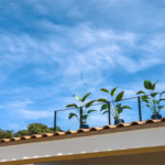Casa à venda com 3 suítes no condomínio Residencial Evidencias Indaiatuba, Indaiatuba - SP