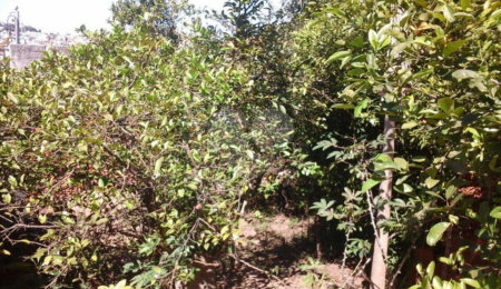 Terreno à venda em Tremembé, São Paulo, SP