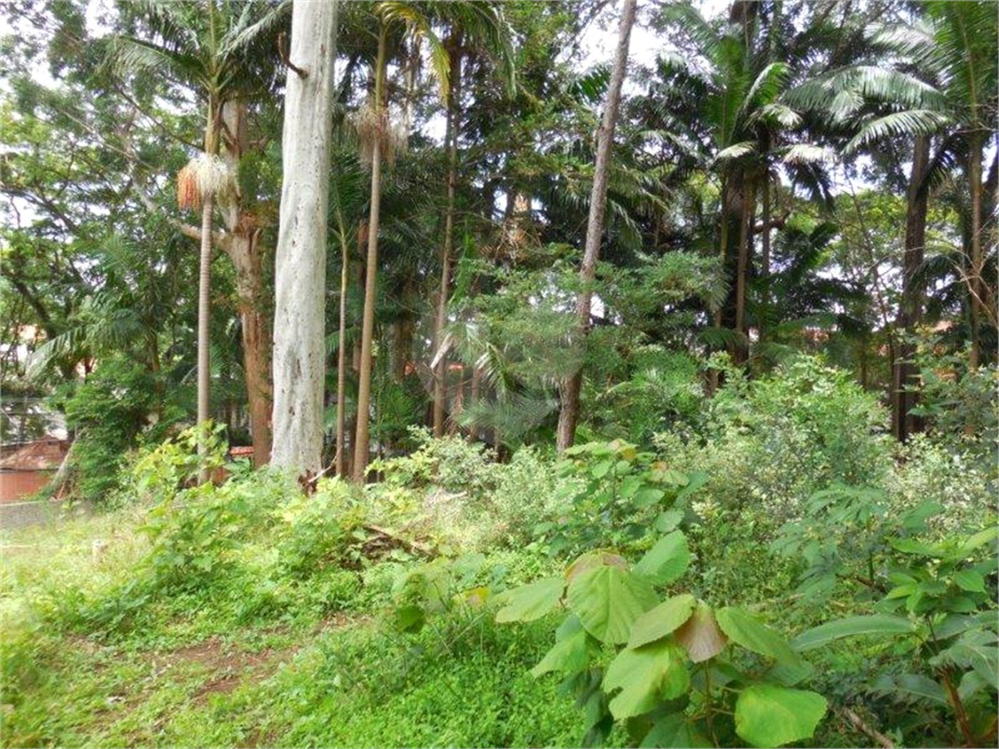 Terreno à venda em Alto da Boa Vista, São Paulo, SP