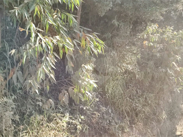 Terreno à venda em Luiz Fagundes, Mairiporã, SP