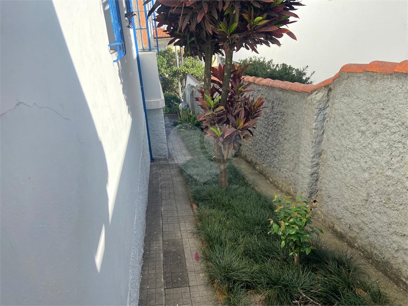 Casa Térrea à venda com 3 quartos em Santana, São Paulo, SP