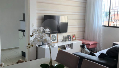 Apartamento à venda com 3 quartos, sendo 1 suíte,  em Parque Mandaqui, São Paulo, SP