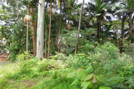Terreno à venda em Alto da Boa Vista, São Paulo, SP