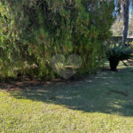 Terreno à venda em Vila Nastri, Itapetininga, SP