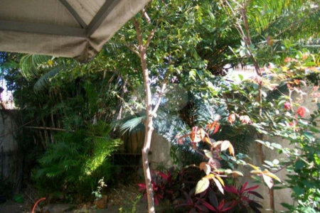 Casa à venda com 3 quartos, sendo 2 suítes, em Santana, São Paulo, SP