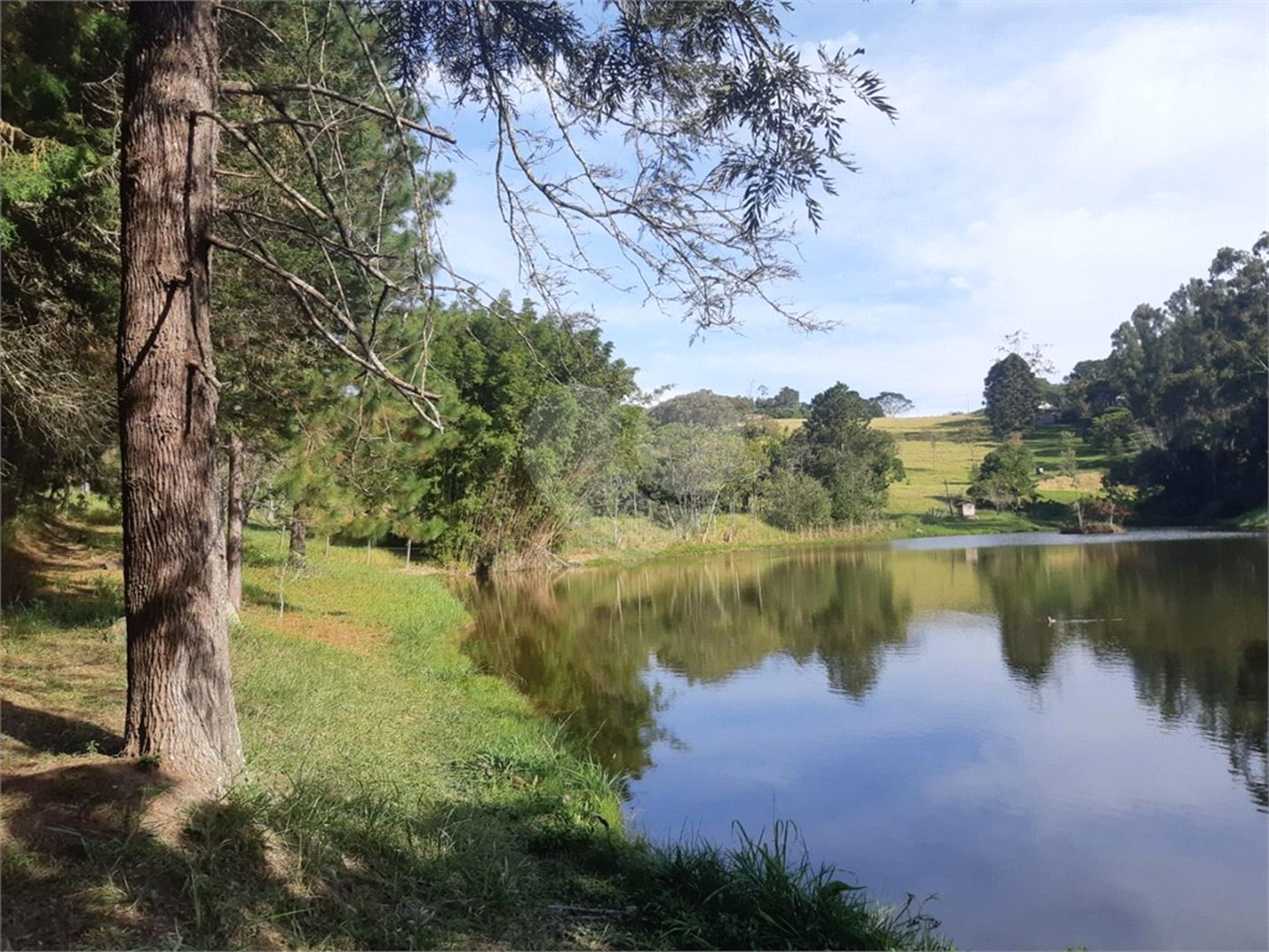 Terreno à venda em Vila Darcy Penteado (mailasqui), São Roque, SP