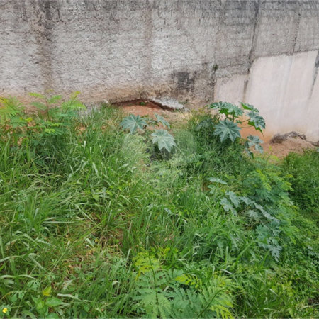 Terreno à venda em Cidade Satélite, Atibaia, SP