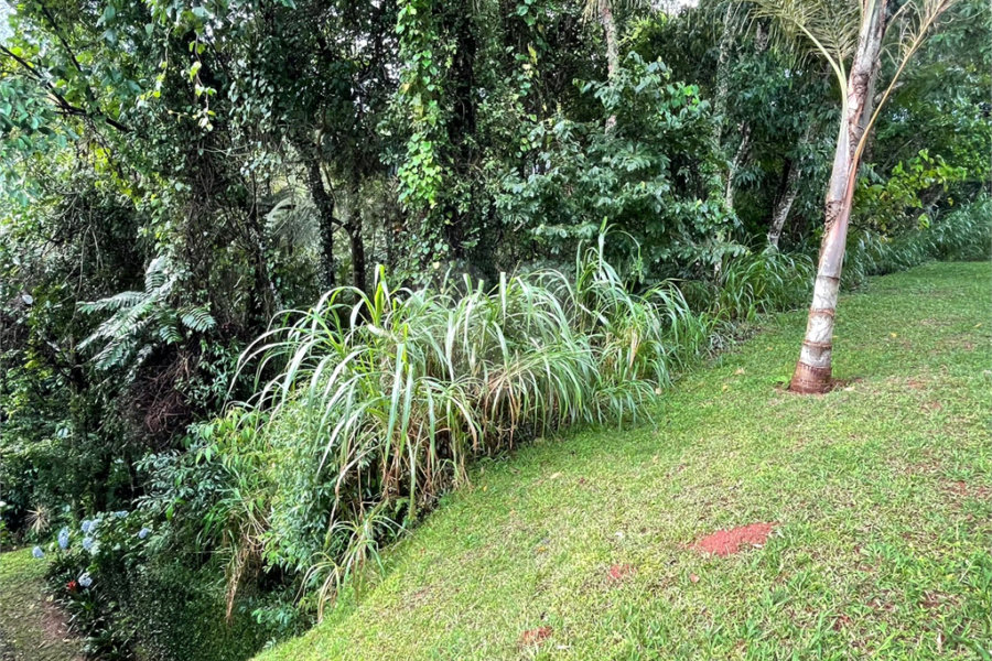 Terreno à venda no condomínio Associação Reserva das Hortênsias, Mairiporã - SP