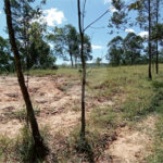 Área de Terra à venda em Monte Alegre, Vinhedo, SP