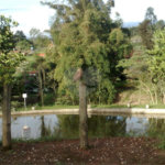Casa à venda com 3 quartos, sendo 2 suítes,  em Alto da Serra (mailasqui), São Roque, SP