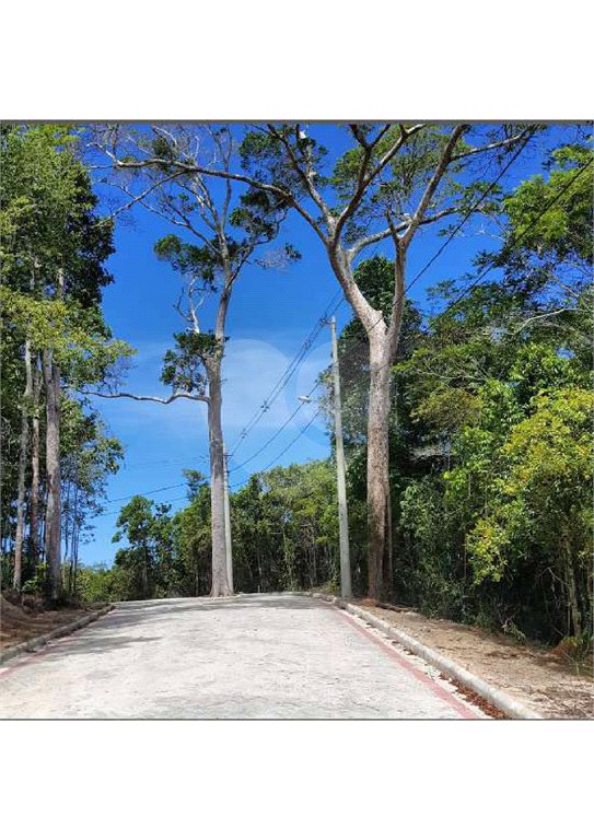 Terreno à venda no condomínio Eco Village, Porto Seguro - BA
