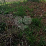 Terreno à venda em Vila Junqueira, Atibaia, SP