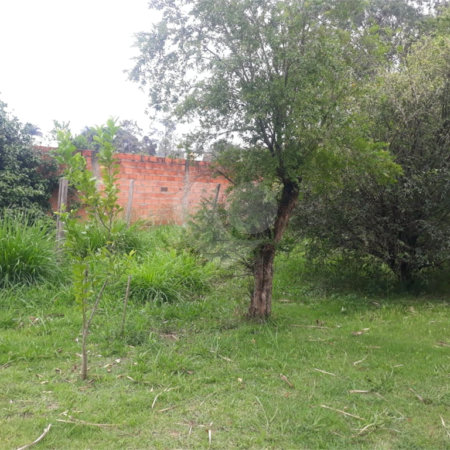 Terreno para alugar em Jardim Rene, São Roque, SP
