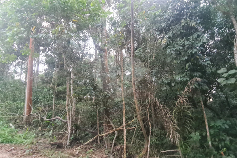 Condomínio à venda em Serra da Cantareira, Mairiporã, SP