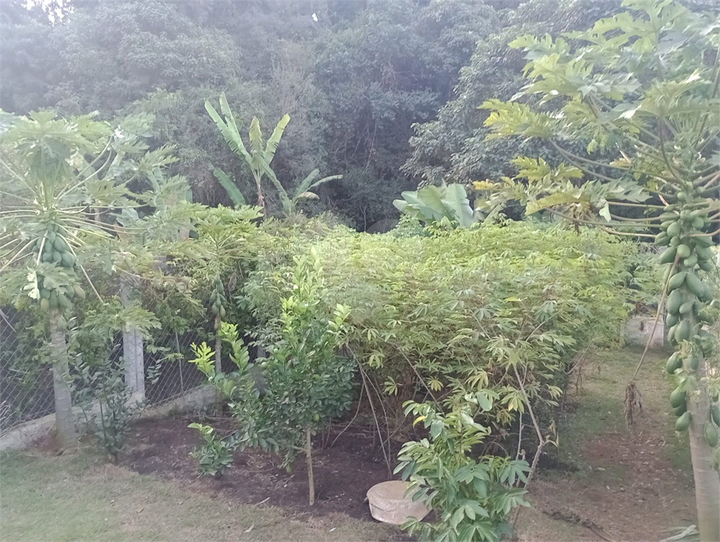 Chácara à venda com 5 quartos, sendo 1 suíte, em Jardim Marabá, Itapetininga, SP
