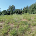 Terreno à venda em Pinheirinho, Vinhedo, SP