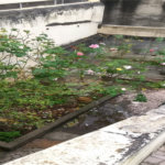 Sobrado à venda com 3 quartos em Santana, São Paulo, SP