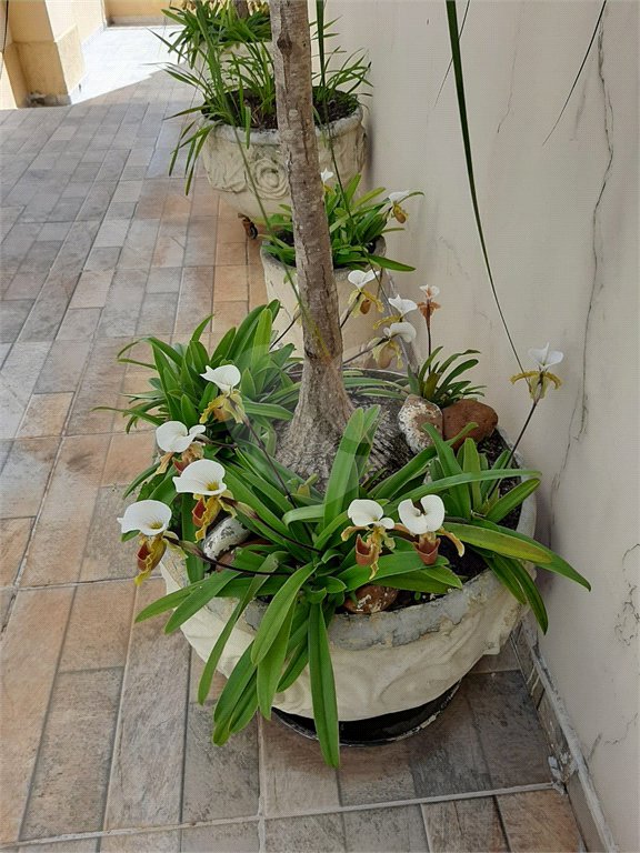 Sobrado à venda com 4 quartos, sendo 3 suítes, em Jardim São Bento, São Paulo, SP