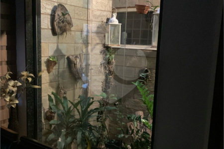 Sobrado à venda com 2 quartos no Centro, Três Lagoas, MS