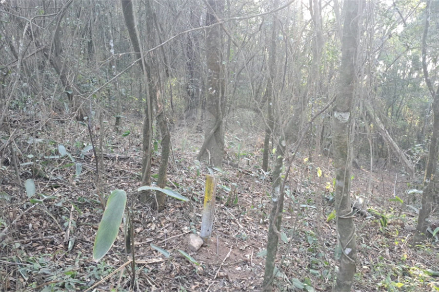 Terreno à venda em Serra da Cantareira, Mairiporã, SP