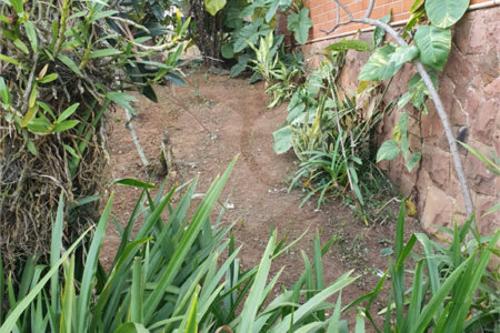 Terreno à venda em Vila Paulicéia, São Paulo, SP