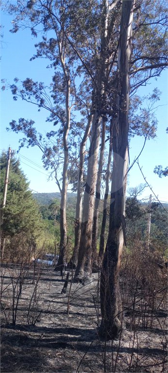 Terreno à venda em Caete (mailasqui), São Roque, SP