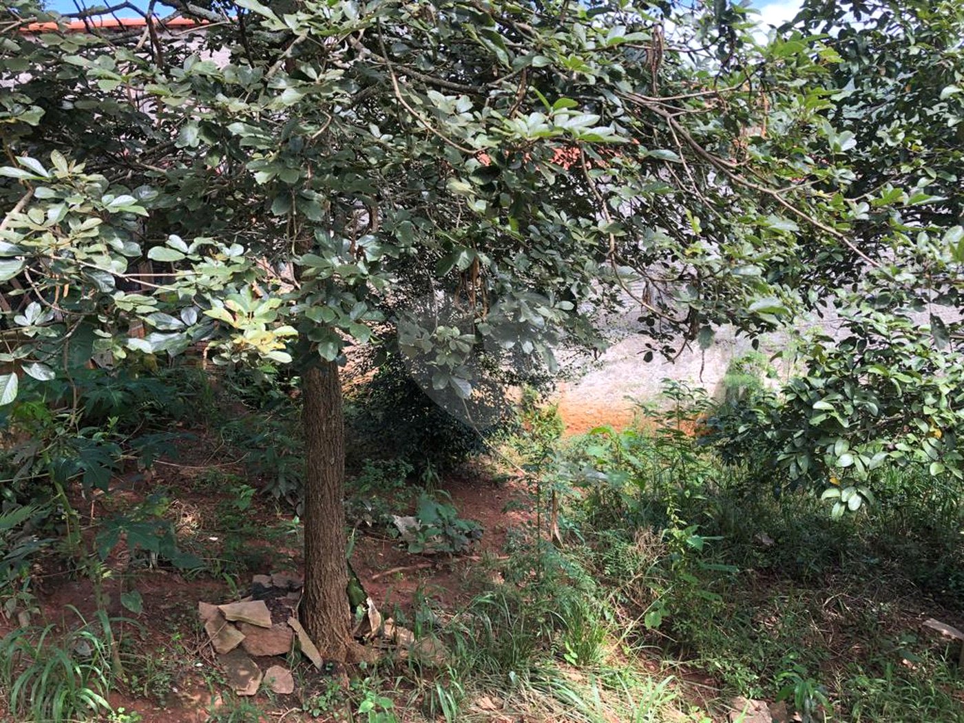 Casa à venda com 5 quartos, sendo 1 suíte, em Serra da Cantareira, Mairiporã, SP