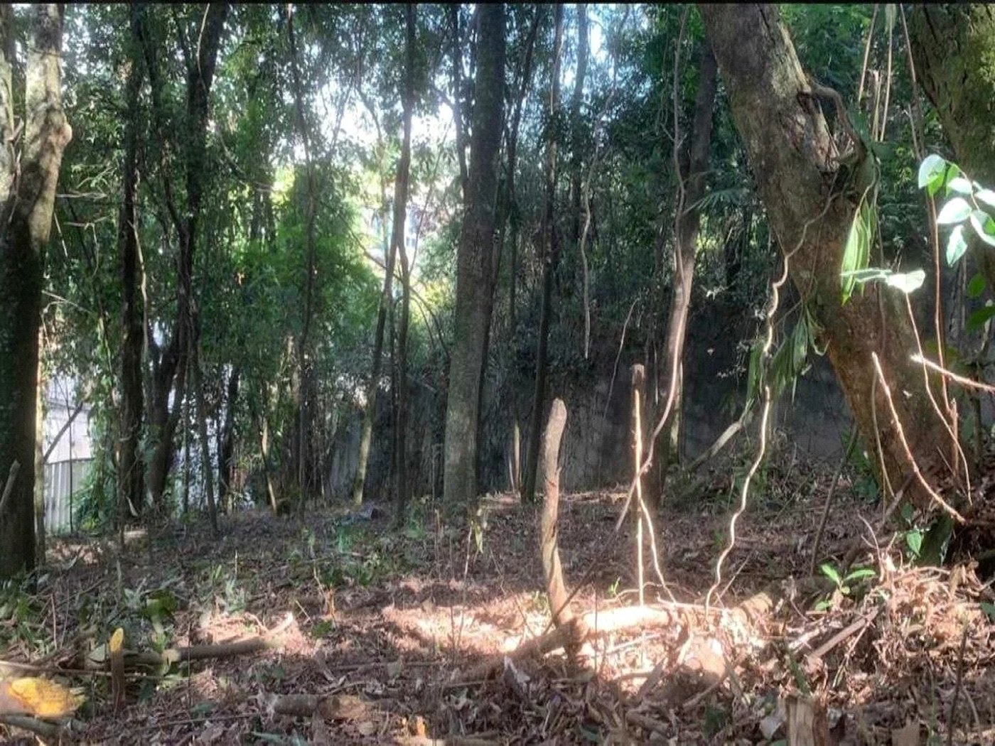 Terreno à venda em Jardim Peri Peri, São Paulo, SP