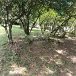 Terreno à venda em Planalto Verde, São Roque, SP