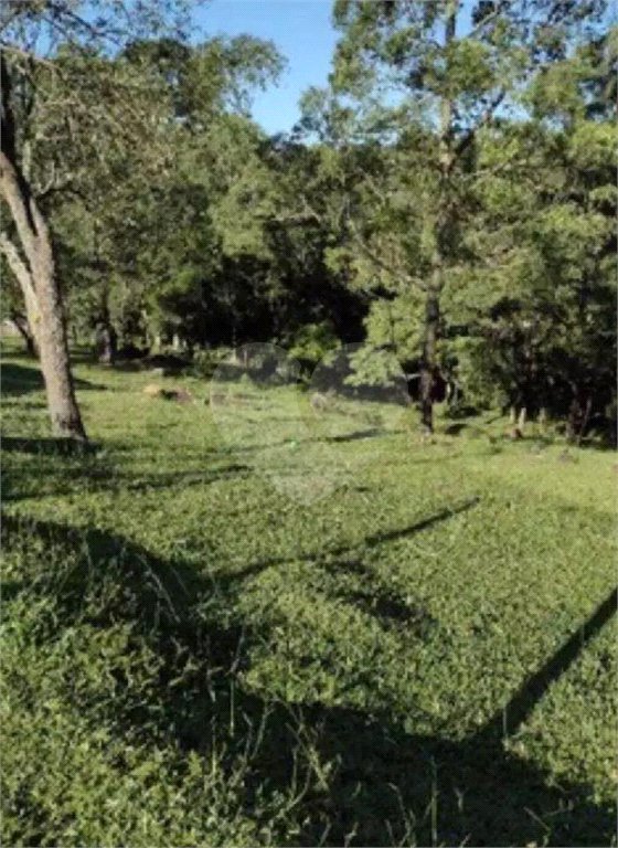 Área de Terra à venda em Alto da Serra (mailasqui), São Roque, SP