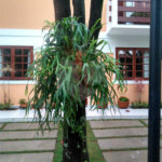 Casa à venda com 4 quartos, sendo 2 suítes, no condomínio Vila Panamericana, São Paulo - SP