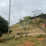 Sítio à venda no Centro, Sapucaí-mirim, MG